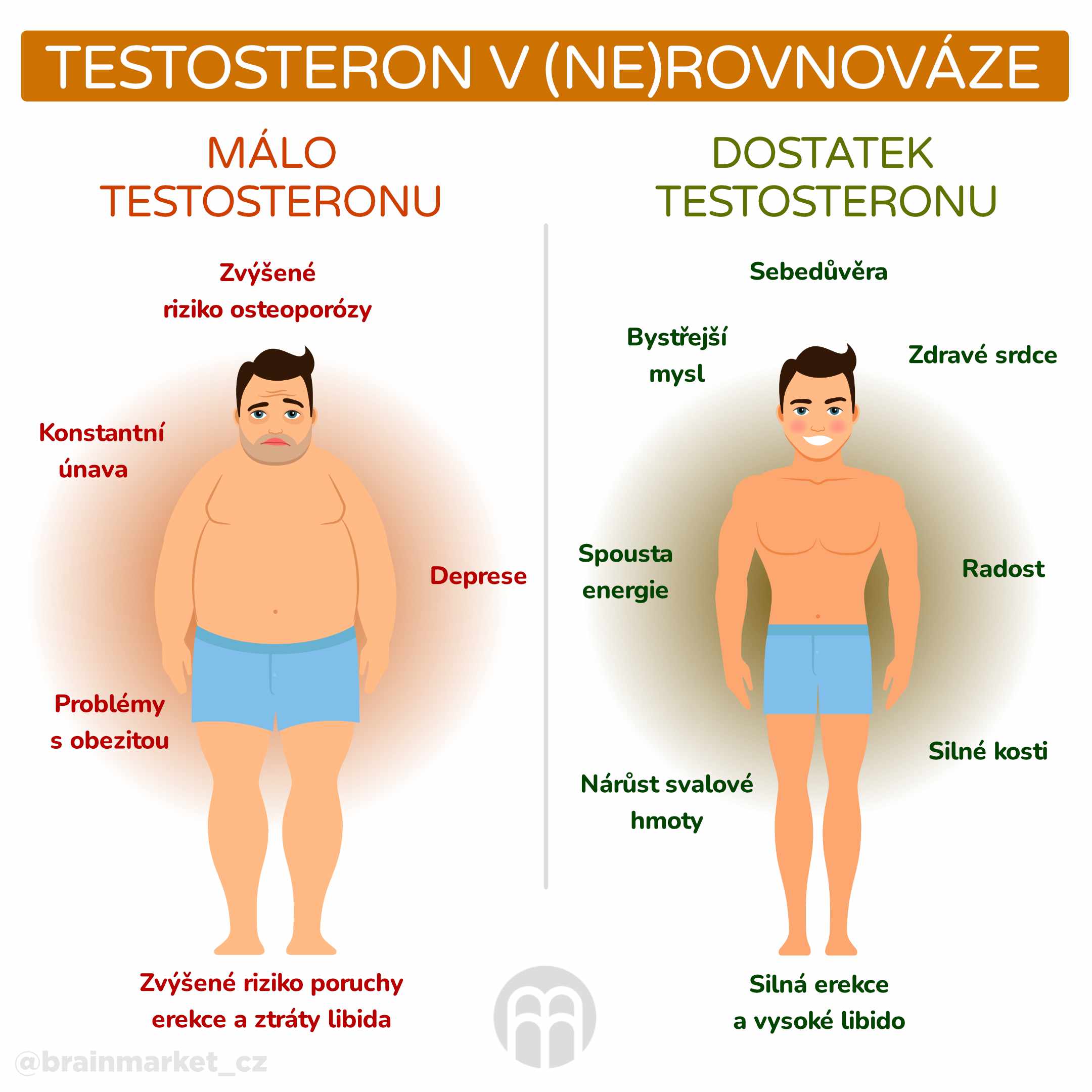 testosteron v ne rovnovaze_infografika_cz